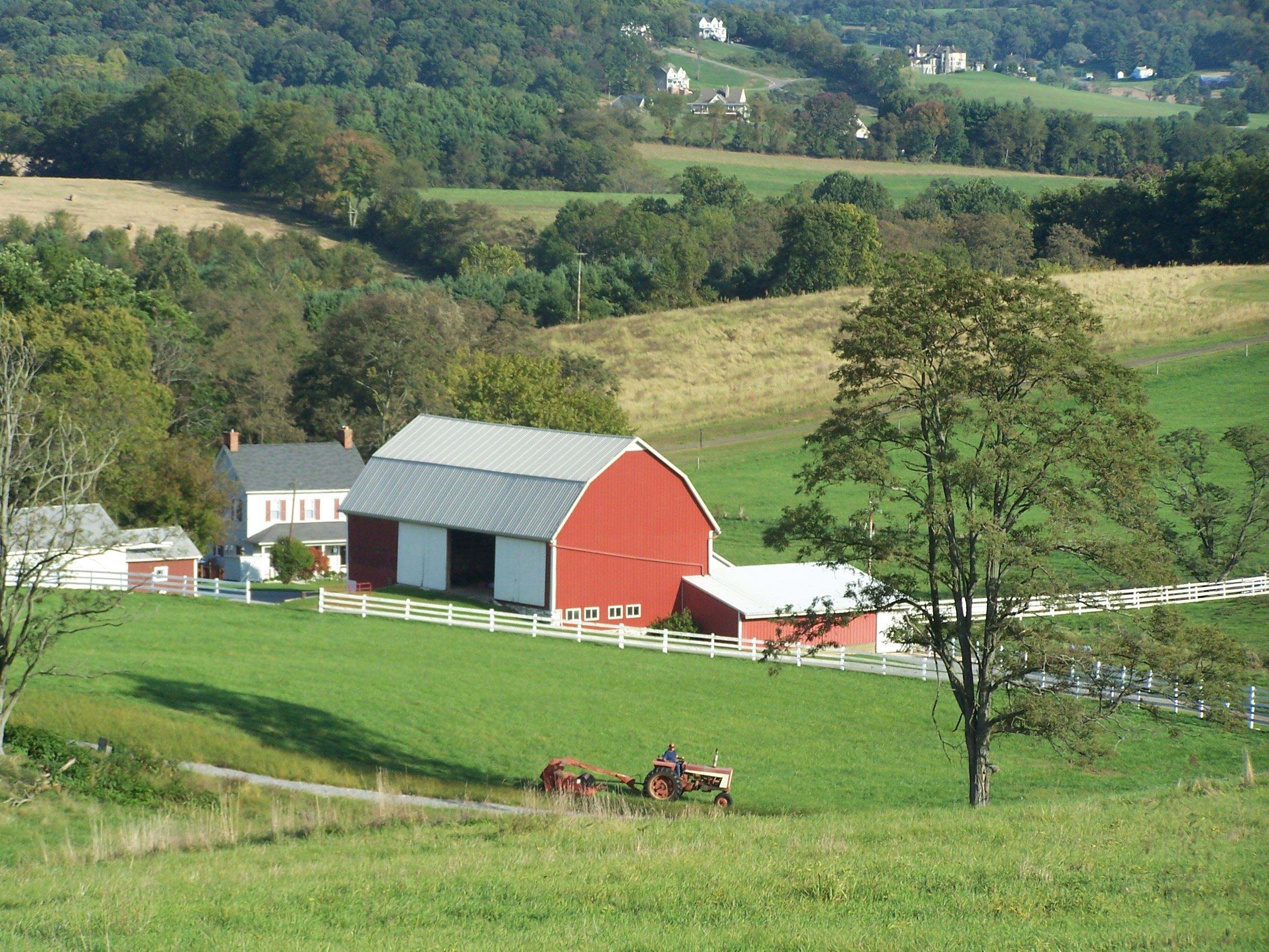 Frederick Farm