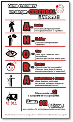 Spanish words in red next to pictures of named body parts 