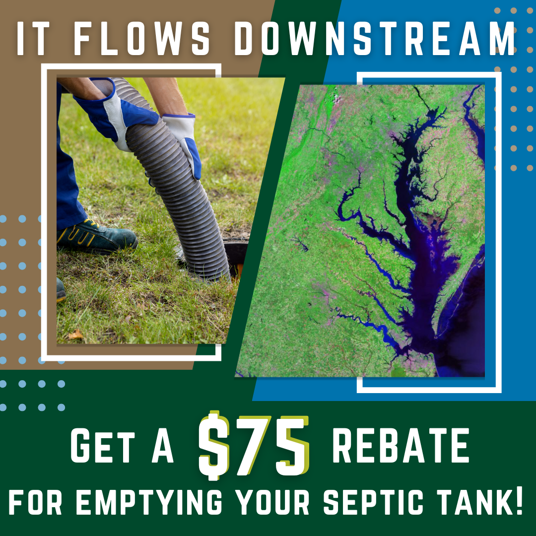 Graphic of Septic Rebate Program