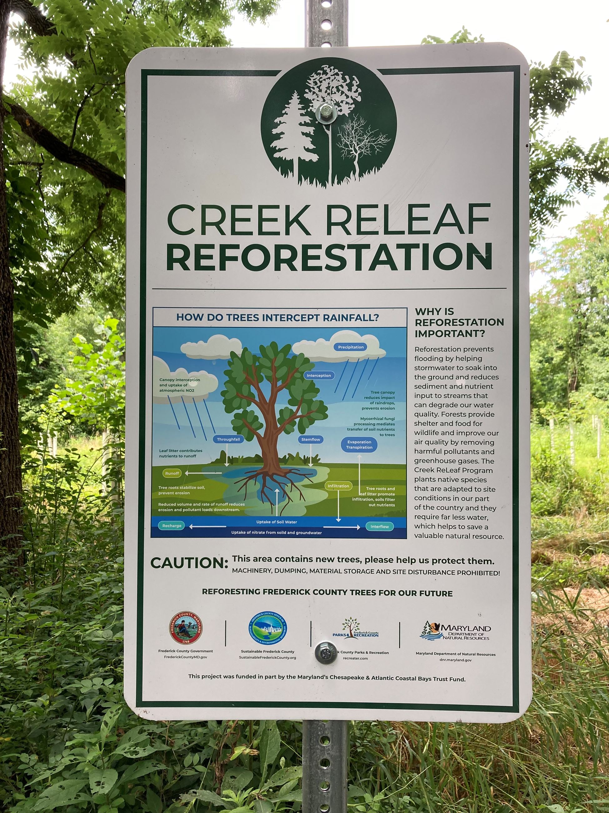 Creek ReLeaf Educational Sign