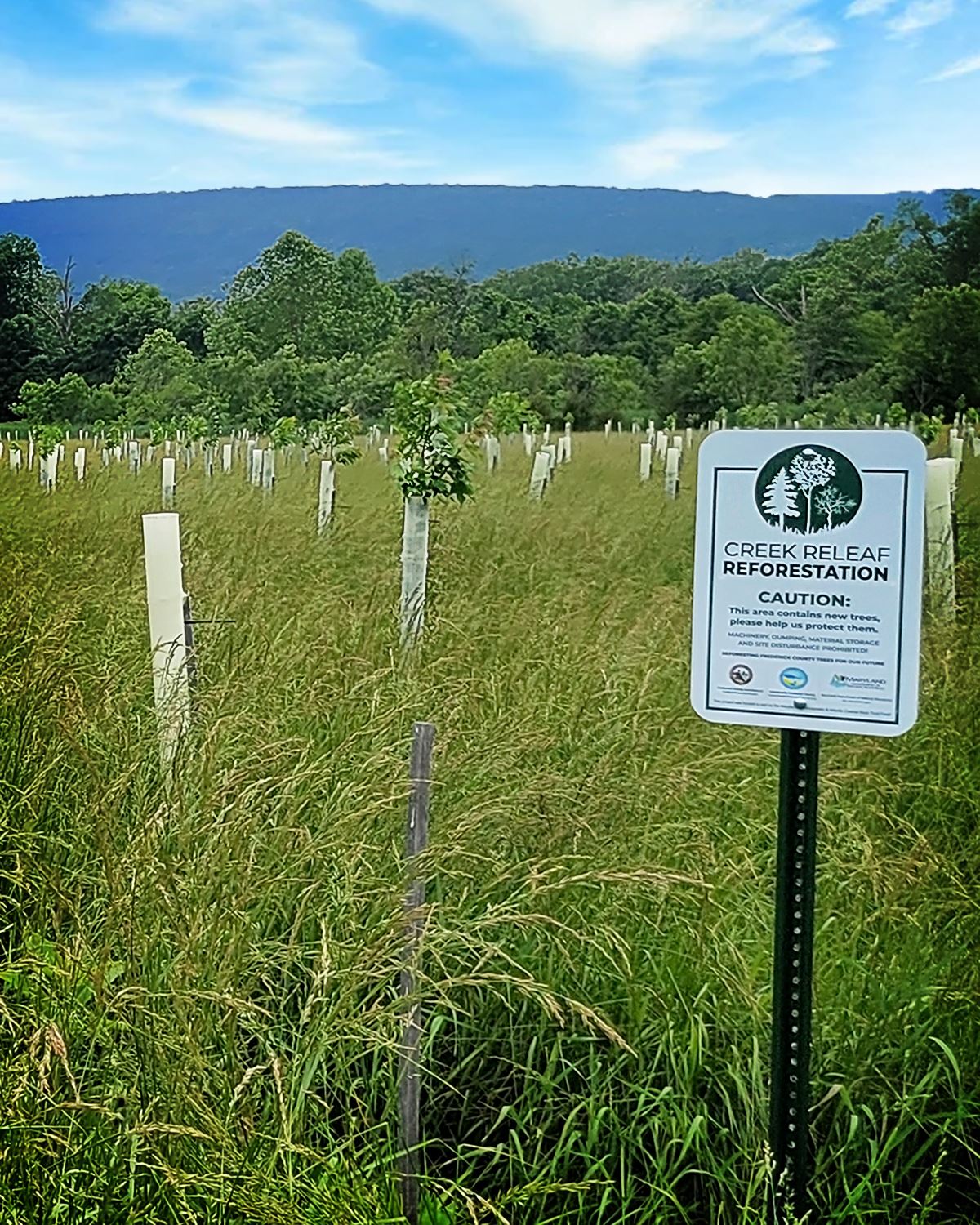 Creek ReLeaf Reforestation Site 2