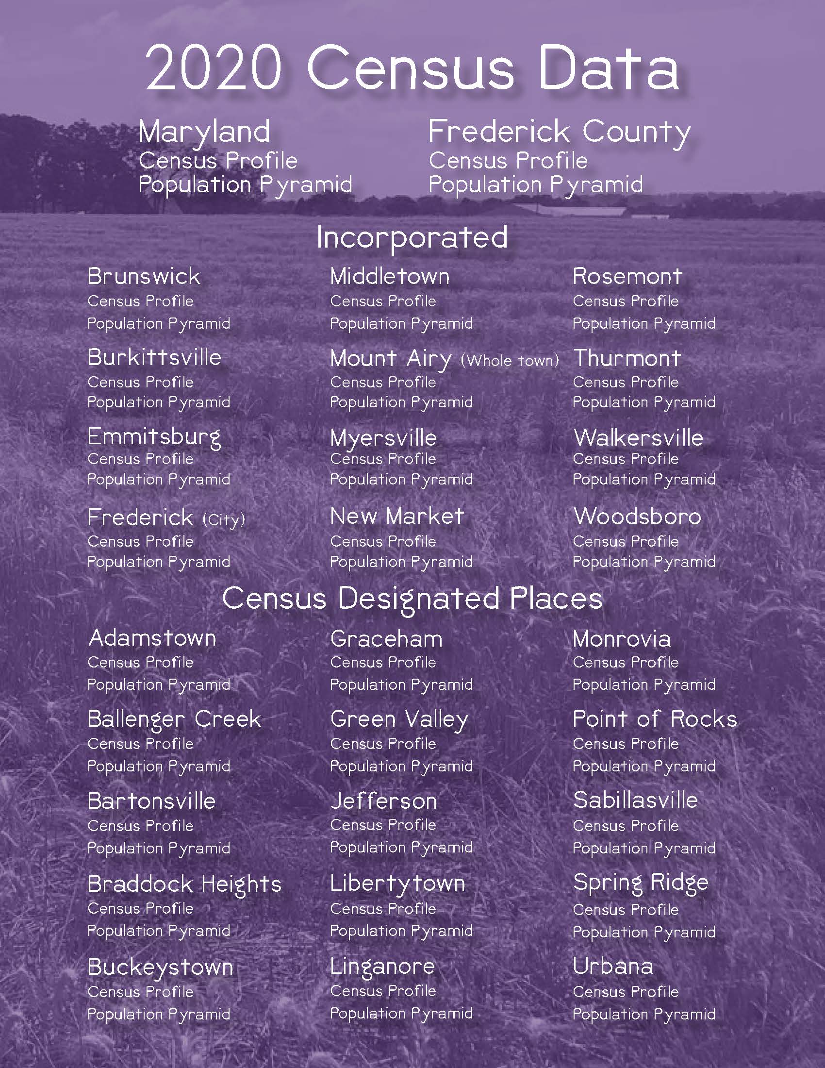 2020 Census Profile 4.19