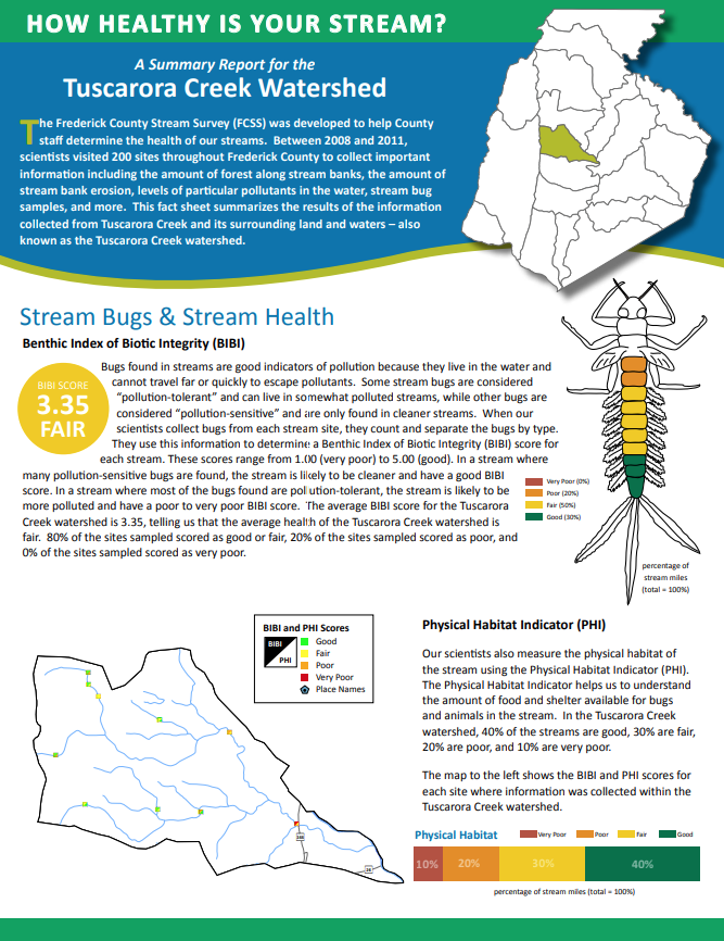 Image of a stream survey fact sheet from 2012
