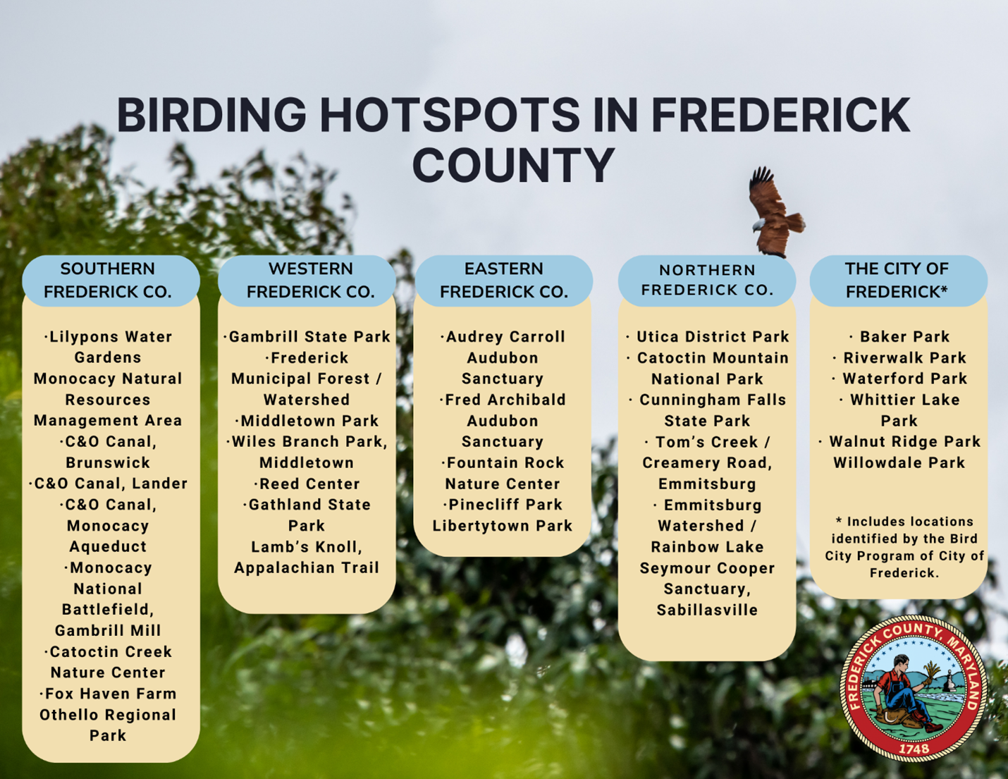 Birding Hot Spots
